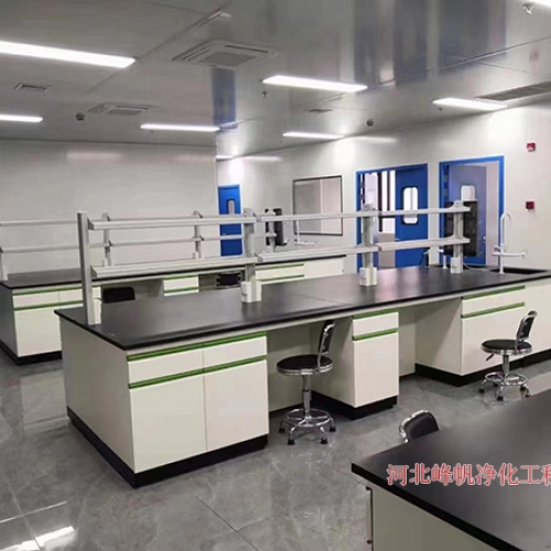 河北生物医药实验室、P级洁净实验室设计施工工程